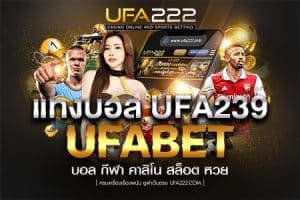 แทงบอล UFA239